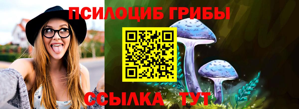 Галлюциногенные грибы Psilocybine cubensis  Галлюциногенные грибы мухоморы  Лабинск  Вход с VPN 